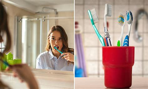 Experts Reveal The Gross Mistakes You Re Making With Your Toothbrush