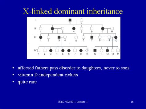 X Linked Dominant Inheritance