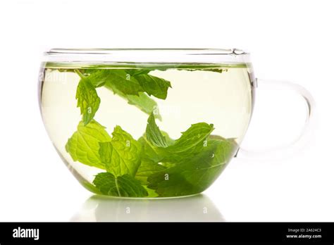 Tea With Fresh Green Peppermint Leaves Stock Photo Alamy