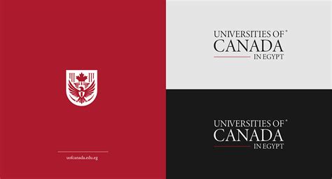 Best University Logo Designs For An Impressive Academic Brand