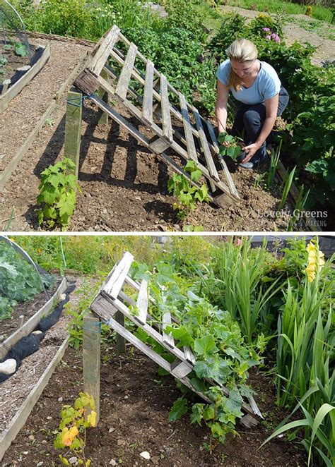 No Tools Required Diy Pallet Cucumber Trellis Vegetable Garden Design