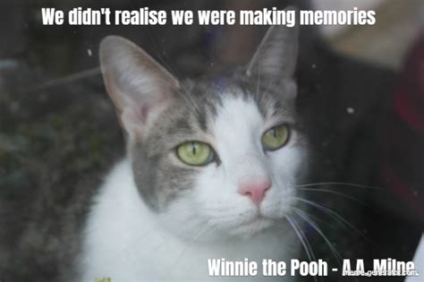 We Didnt Realise We Were Making Memories Winnie The Pooh Aa