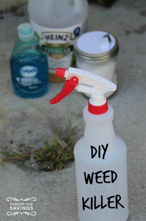Some weeds may push through the newspaper in search of sunlight. DIY Weed Killer - Passion for Savings