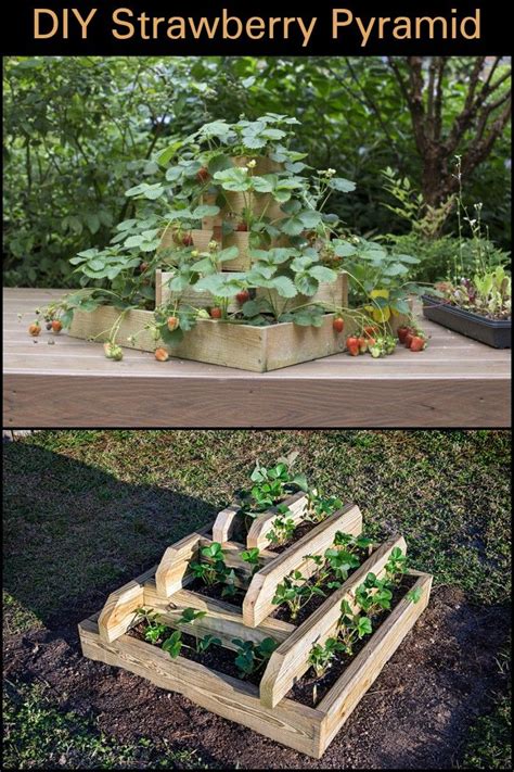 How To Make A Great Strawberry Pyramid Planter The Owner Builder
