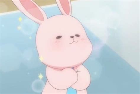 Sparkle Rabbit Pet Animal Cute Personajes De Sanrio Dibujos