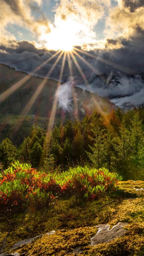 Cascade Range Forest And Landscape Of Mountains With Sunbeam Under