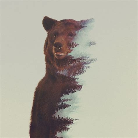 Double Exposure Animals Art And Creative Projects Art Jobs