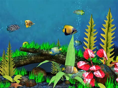 Fish Aquarium 3d Screensaver 14 Free Download