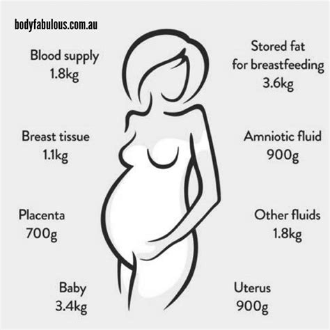 Pregnancyweightgain Bodyfabulous Pregnancy