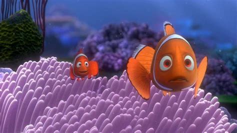 Finding Nemo Finding Nemo Image 3561643 Fanpop