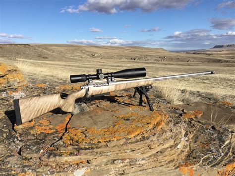 Aps Raptor Lrss 7mm Allen Magnum Long Range Hunting Forum