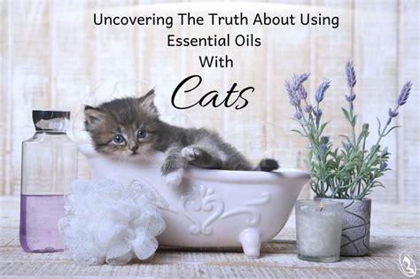 Docusate sodium is safe for cats. Is lemongrass oil safe for cats? | AromaEasy Wholesale ...