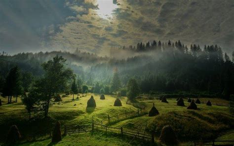 Landscape Nature Morning Sunlight Sky Mist Field Forest Hill