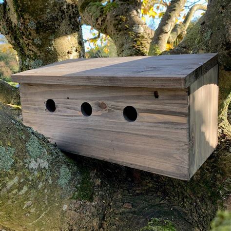 Sparrow Colony Wooden Nesting Box By Garden Selections Nesting Boxes