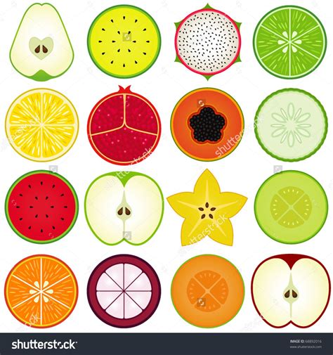 Cross Sections Of Sliced Fresh Fruit New Fruit Fruit Art Fresh Fruit