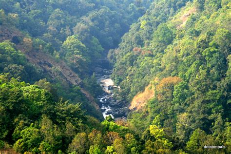 Silent Valley National Park Palakkad Kerala Silent Valle Flickr