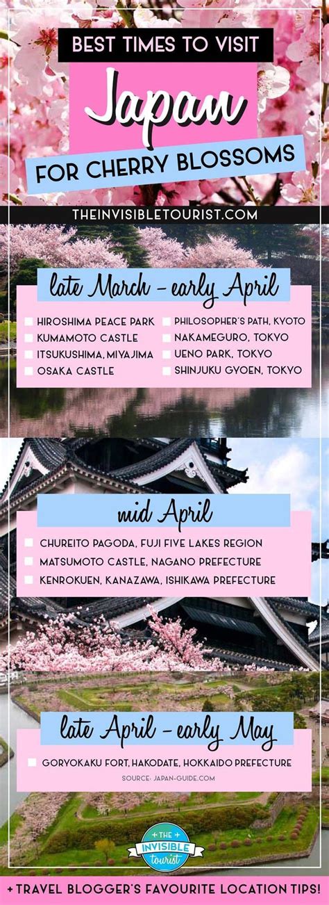 The Best Time To Visit Japan For Cherry Blossoms Revealed Visit Japan