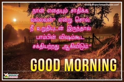 36 Sweet Good Morning Wishes In Tamil Good Morning Wishes