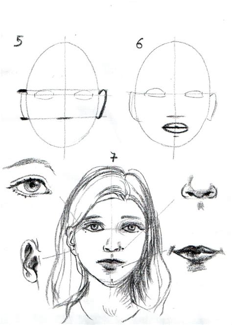Apprendre A Dessiner Un Visage Etape Par Etape Portrait Drawing My
