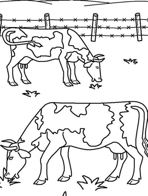 Cow Eating Grass Drawing Images Abraham Beausoleil