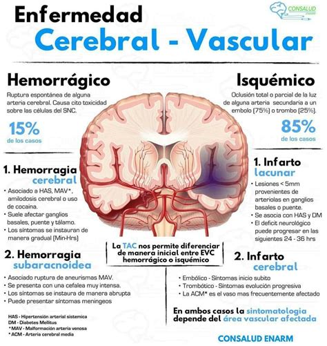 La enfermedad celíaca a menudo se asocia con enfermedades autoinmunes, como dermatitis herpetiforme, gastritis. Pin en Medicina