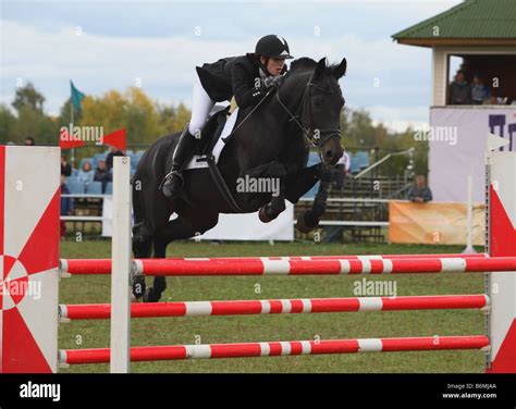 Horse Jumping Obstacle Stock Photo Alamy