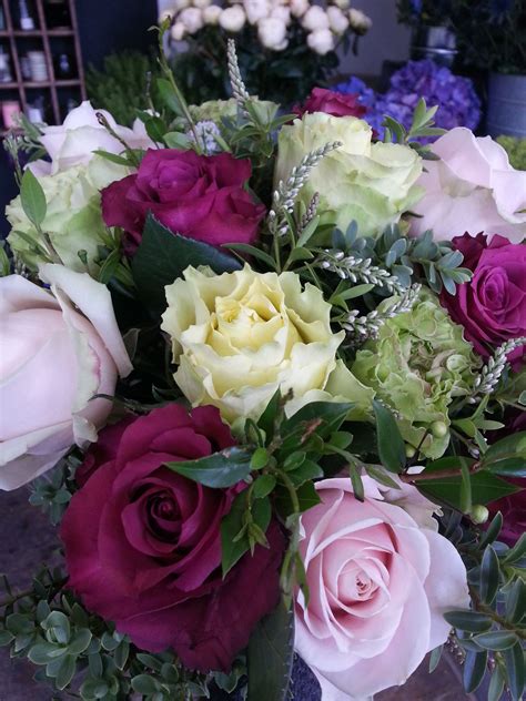 Massed Roses Including Sweet Avalanche Blueberry And Super Green Made