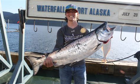 Waterfall Resort Alaska How To Fish For King Salmon