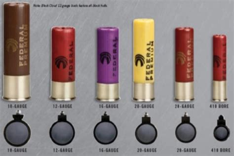 buckshot sizes 12 gauge ammo size chart shotgun shot size chart 20223 hot sex picture