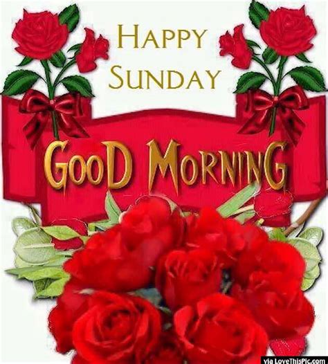 Happy Sunday Good Morning With Roses Pictures Photos And Images For