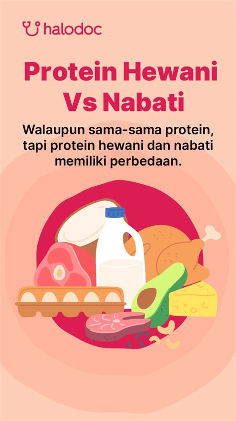 Ini Perbedaan Protein Hewani Dan Nabati Yang Baik Untuk Janin