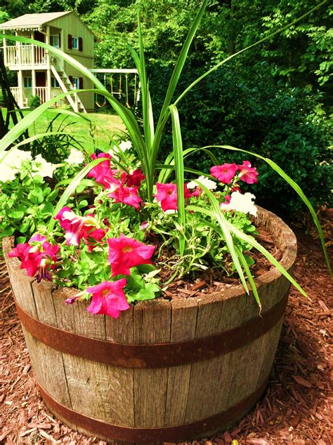 Wine Barrel Garden Ideas Photos