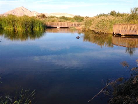 Wetlands Park Las Vegas Nevada