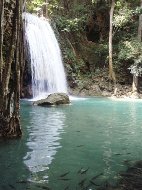 Beautiful Erawan Waterfall In Thailand Path Is My Goal