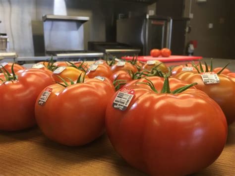 Naturefresh Farms Launches Ontariored Tomato Program Naturefresh Farms