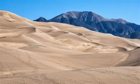 8 Amazing Things To Do At Great Sand Dunes National Park United