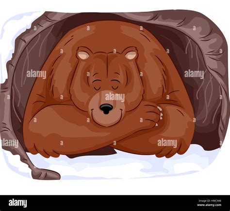 Animal Illustration Of A Large Grizzly Bear Hibernating In A Cave