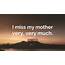 Paul Haggis Quote “I Miss My Mother Very Much”