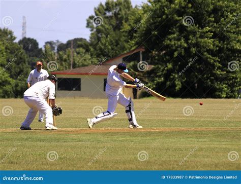 Cricket Player Batsman Batting Editorial Photography Illustration Of