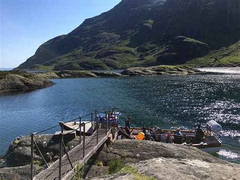 Misty Isle Boat Trips Elgol Scotland Top Tips Before You Go