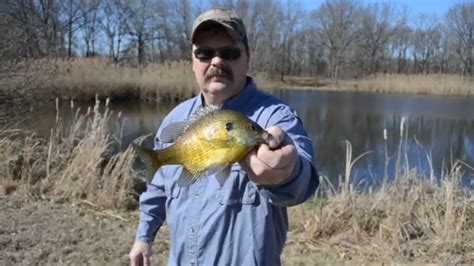 Early Spring Fishing At The Pond For Bluegillsbass Youtube