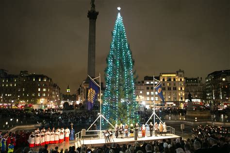 Trafalgar Square Christmas Tree Sparkles Following Light Switch On Ceremony London Evening