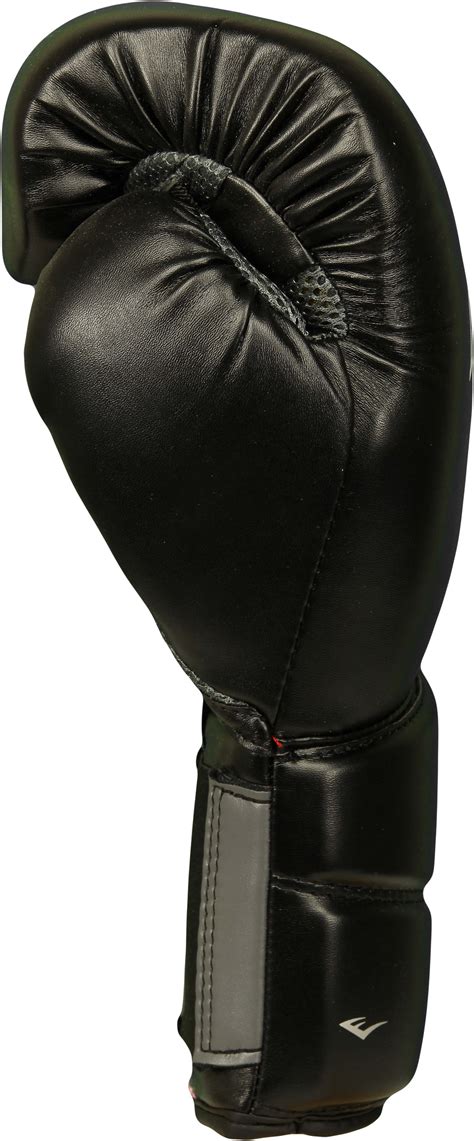 Everlast Protex 2 Boxing Gloves Black Ebay