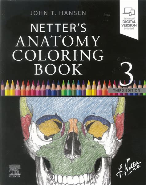 Netters Anatomy Coloring Book 3rd Ed Aacn