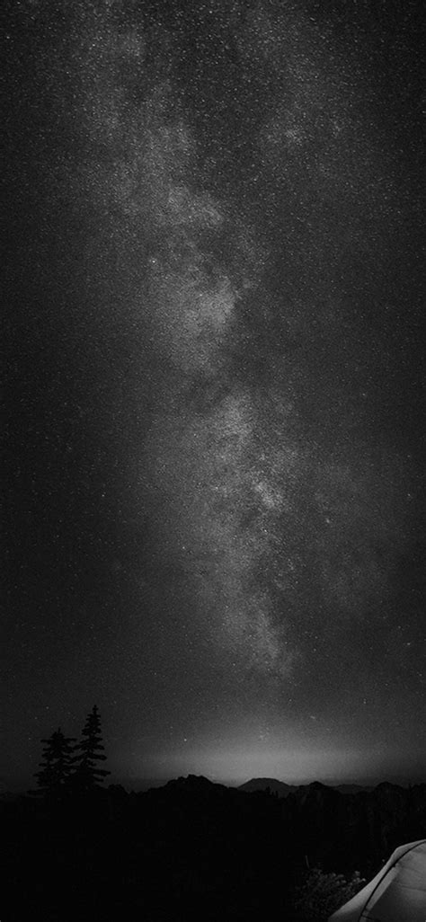 Download Starry Night Black Apple Iphone Wallpaper