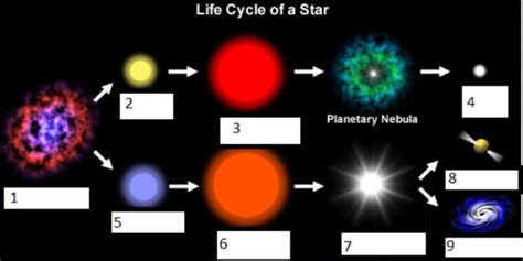 Life Cycle Of Star Worksheet