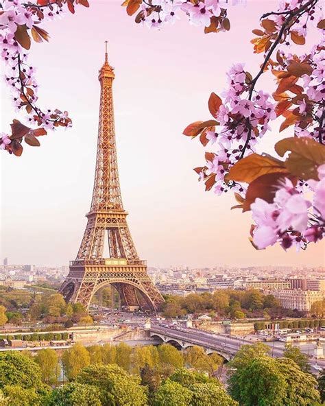 Spring In Paris By Saúl Aguilar Eiffel Tower Photography Tour
