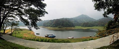 Stock Pictures Periyar National Park In Thekkady Kerala
