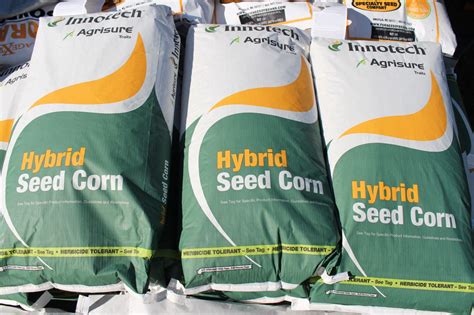 Corn Seed Roundup Ready Bt Specialty Seed