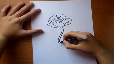 Como Dibujar Una Rosa Paso A Paso How To Draw A Rose Youtube